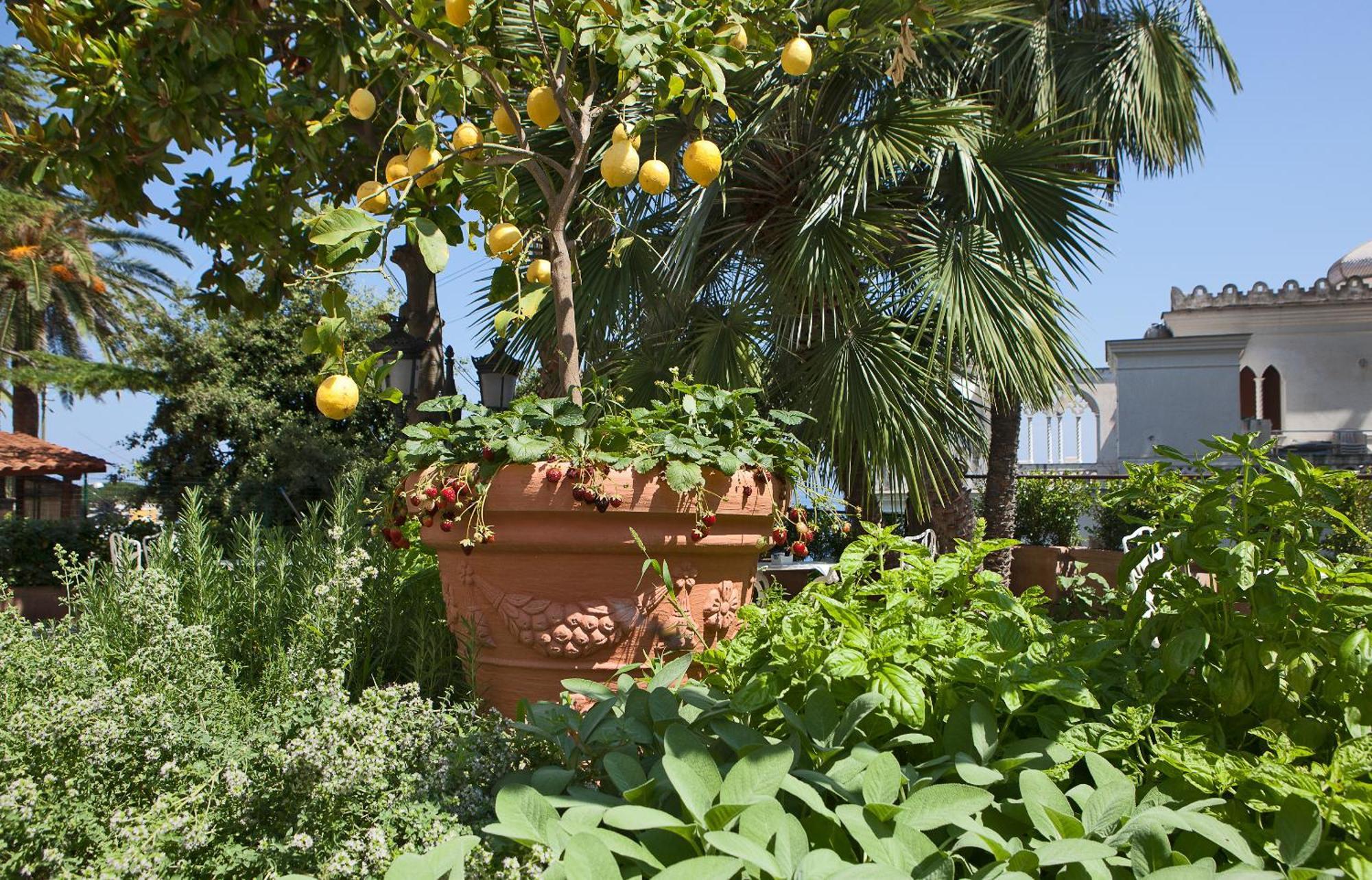 Luxury Excelsior Parco Hotel
